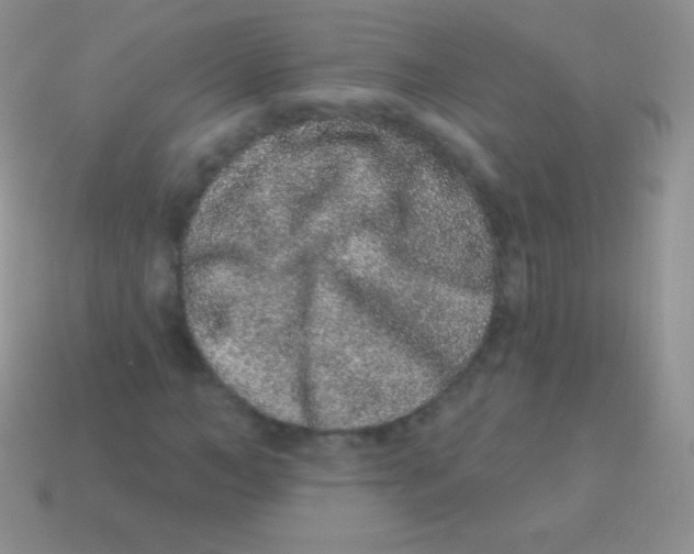 X0000113630966200910162012