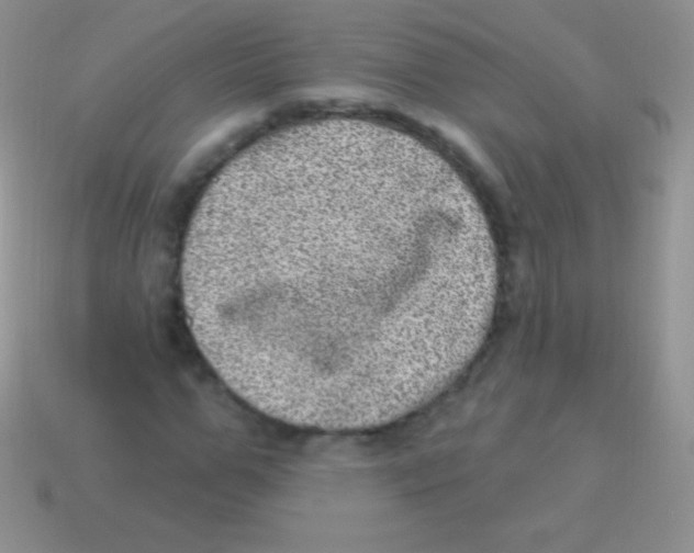 X0000113630967200910162012