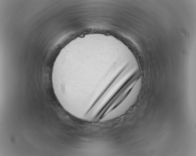 X0000113630968200910162012