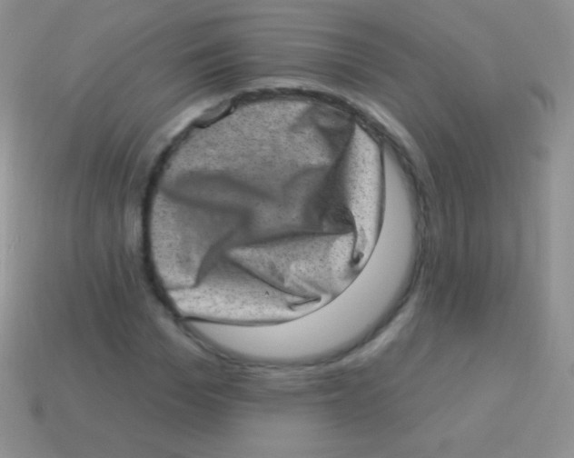 X0000113630969200910162012