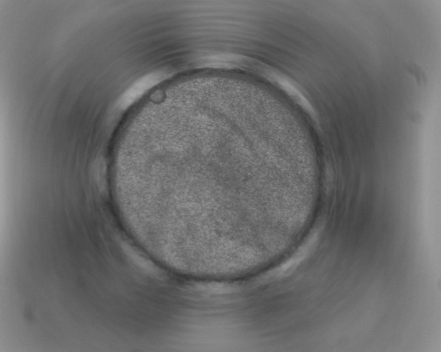 X0000113630970200910162012