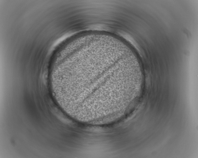 X0000113630971200910162012