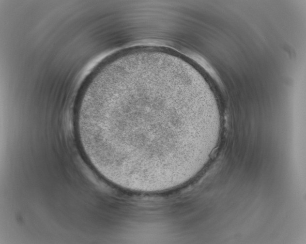 X0000113630972200910162012