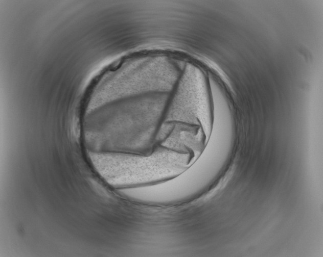 X0000113630973200910162012