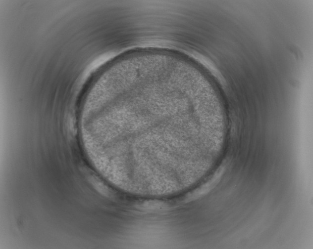 X0000113630974200910162012