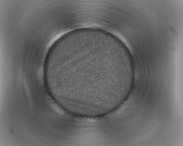 X0000113630975200910162012