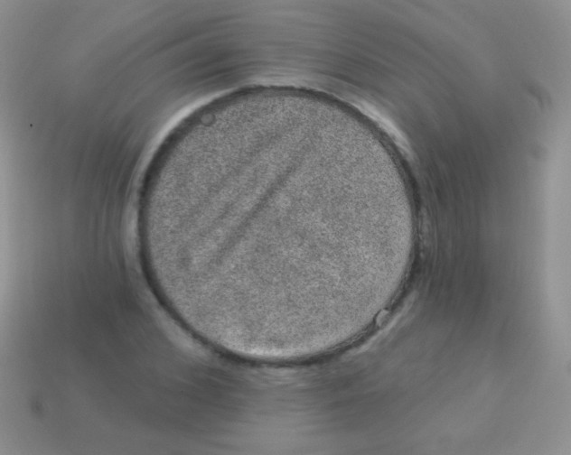 X0000113630976200910162012