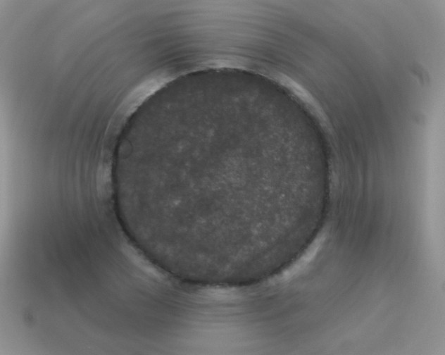 X0000113630977200910162012