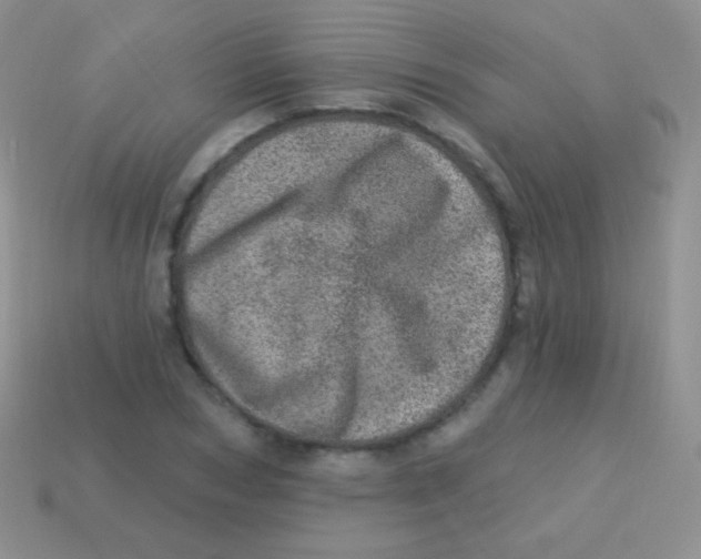 X0000113630978200910162012