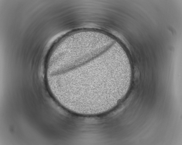 X0000113630979200910162012