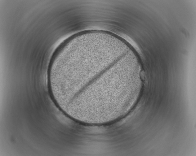 X0000113630980200910162012