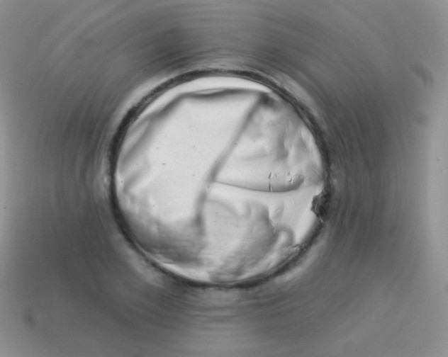 X0000113630981200910162012