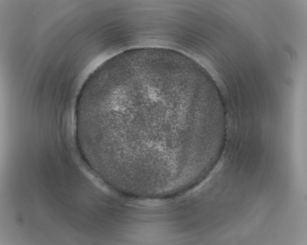 X0000113630982200910162012