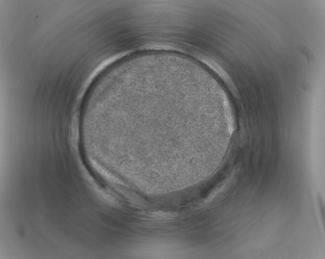 X0000113630984200910162012