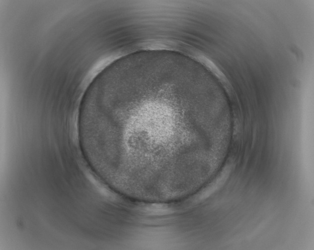 X0000113630986200910162012