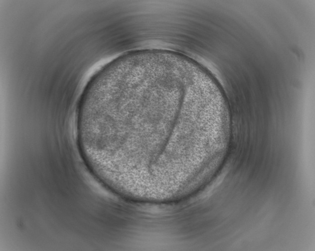 X0000113630987200910162012