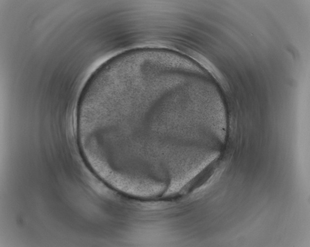 X0000113630988200910162012