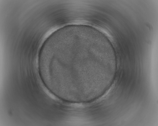 X0000113630990200910162012