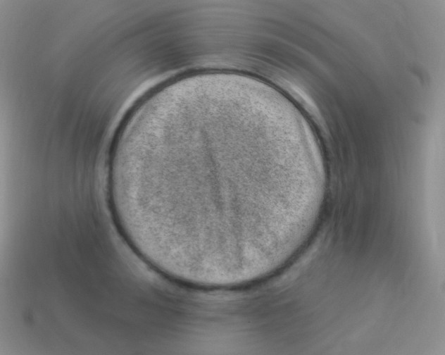 X0000113630992200910162012