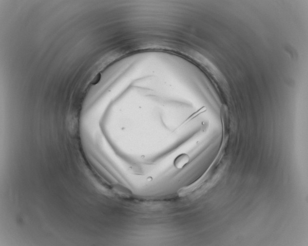 X0000113630993200910162012