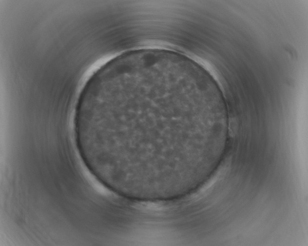 X0000113630995200910162012