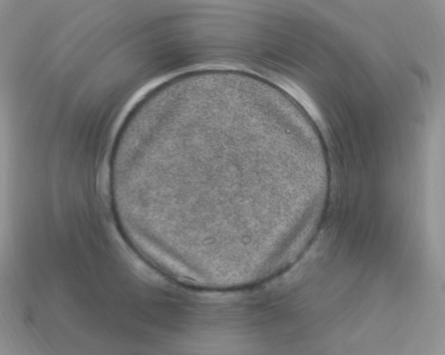 X0000113630996200910162012