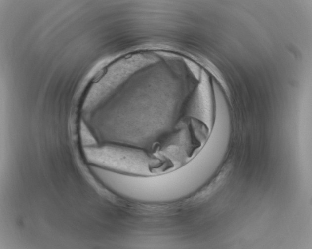 X0000113630997200910162011