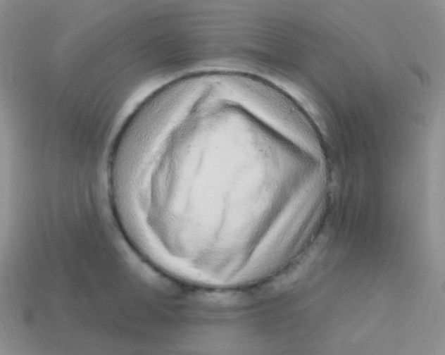 X0000113630998200910162011