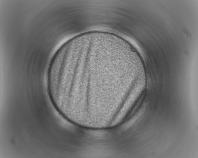 X0000113630999200910162011