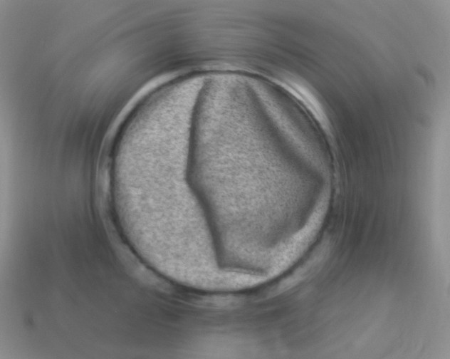 X0000113631000200910162011