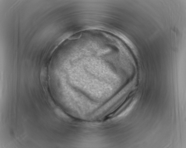 X0000113631001200910162011