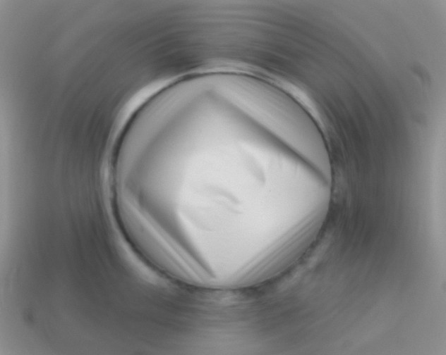 X0000113631003200910162011