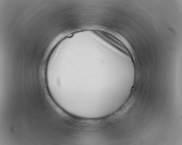 X0000113631005200910162011