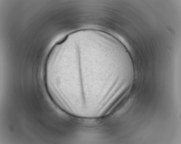 X0000113631007200910162011