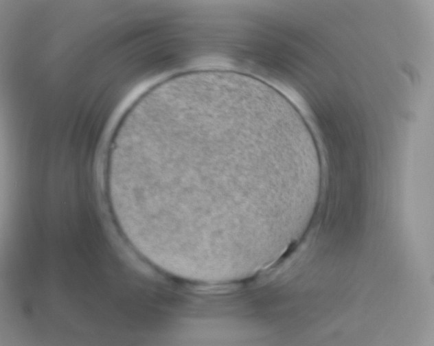 X0000113631008200910162011