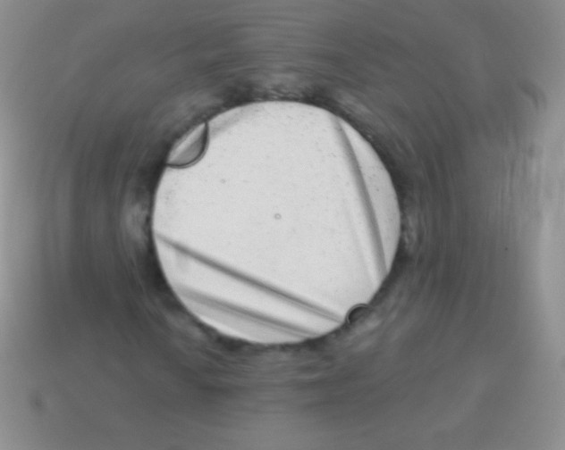 X0000113631010200910162011