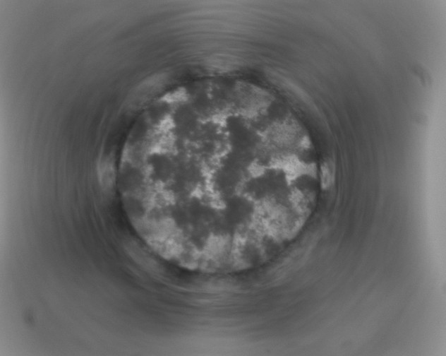 X0000113631011200910162011