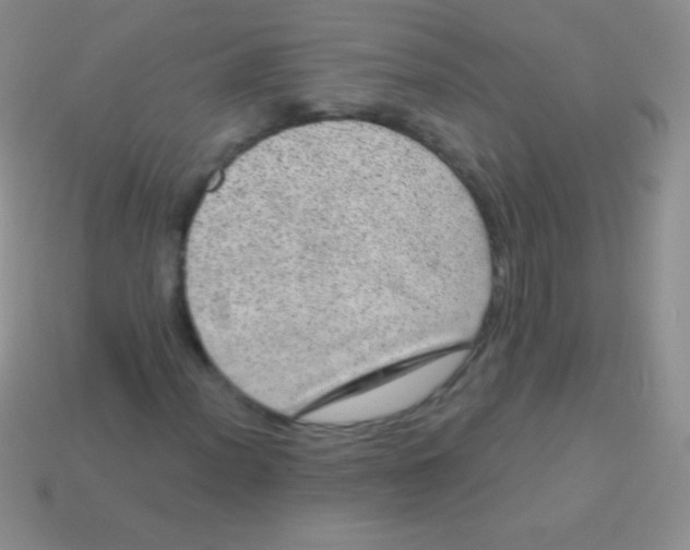 X0000113631012200910162011