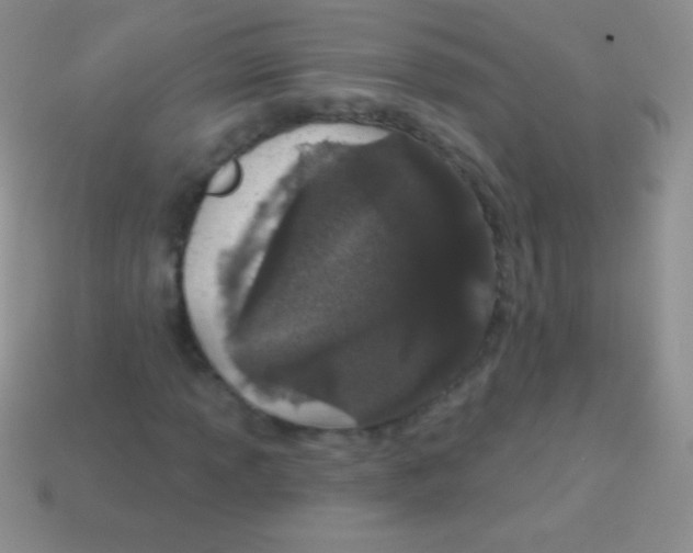 X0000113631013200910162011