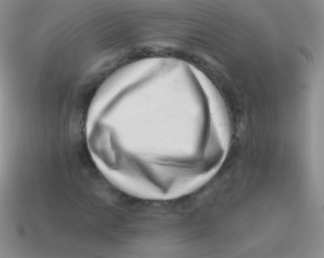 X0000113631014200910162011