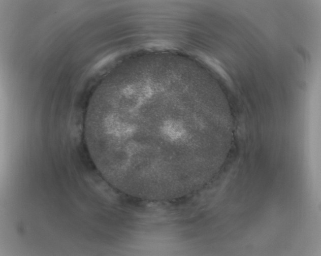 X0000113631015200910162011