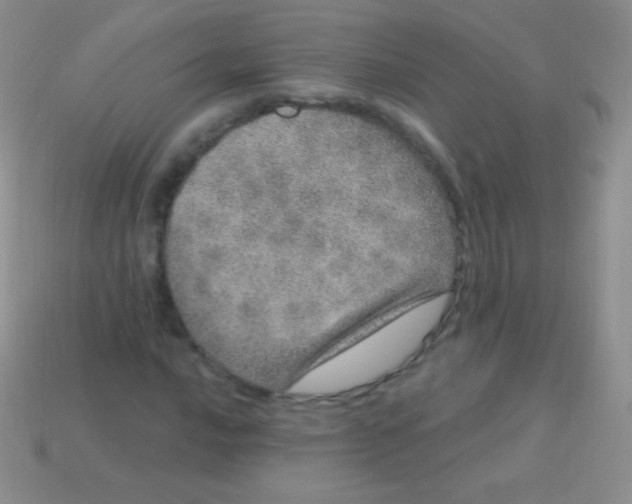 X0000113631016200910162011