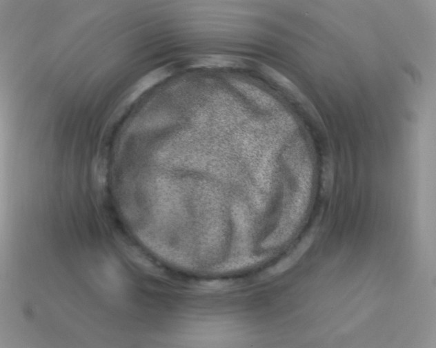 X0000113631017200910162011