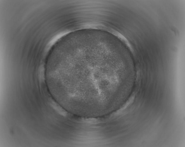 X0000113631019200910162011