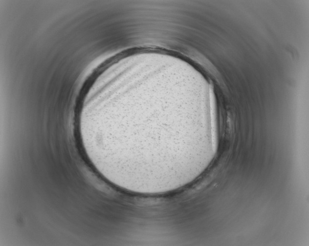 X0000113631020200910162011