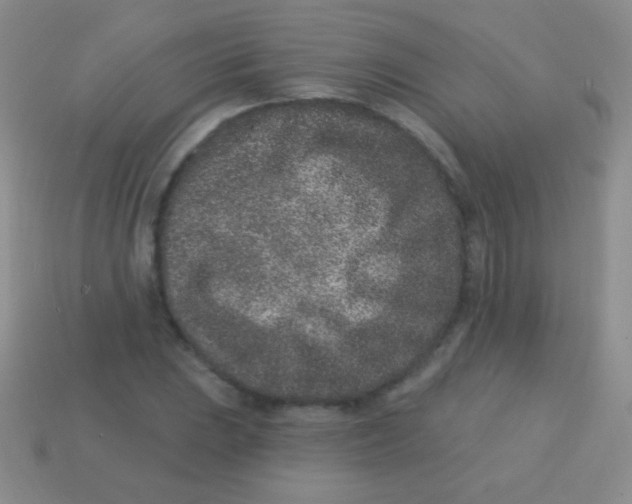 X0000113631023200910162011