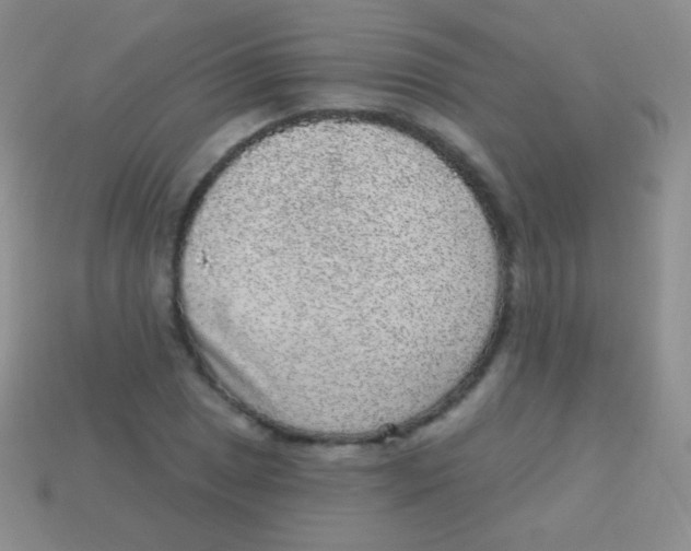 X0000113631025200910162011