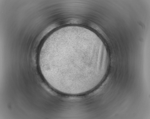 X0000113631026200910162011