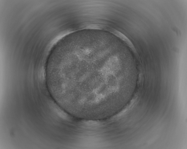 X0000113631027200910162011