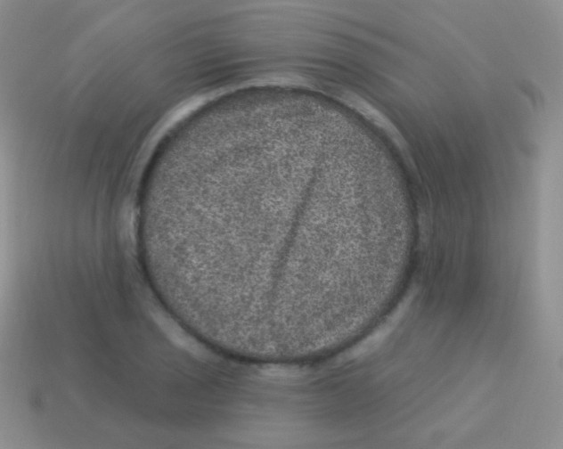 X0000113631029200910162011